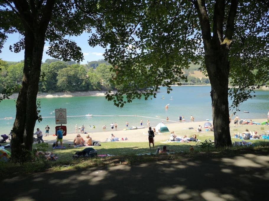 Ferienhaus Lena Im Sauerland Direkt Am Hennesee Meschede Dış mekan fotoğraf