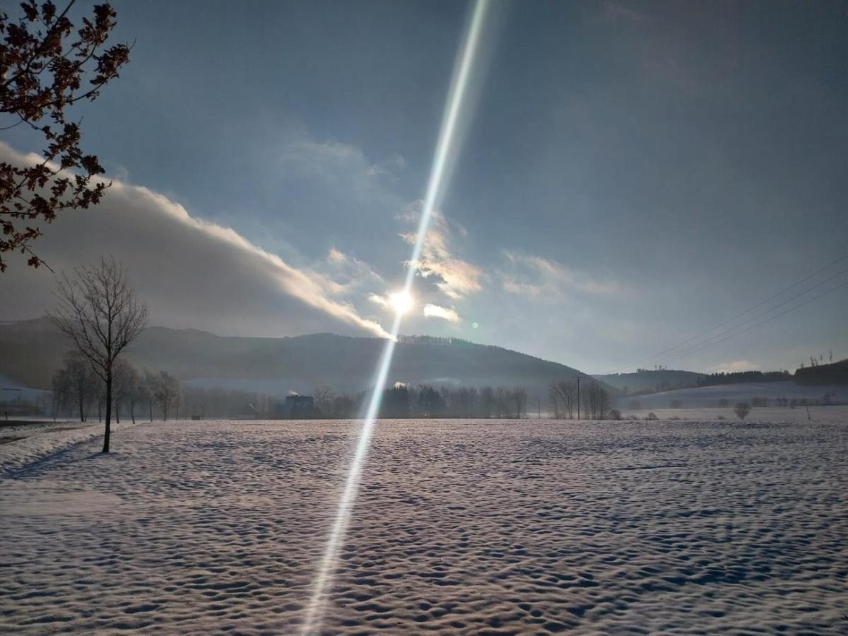 Ferienhaus Lena Im Sauerland Direkt Am Hennesee Meschede Dış mekan fotoğraf