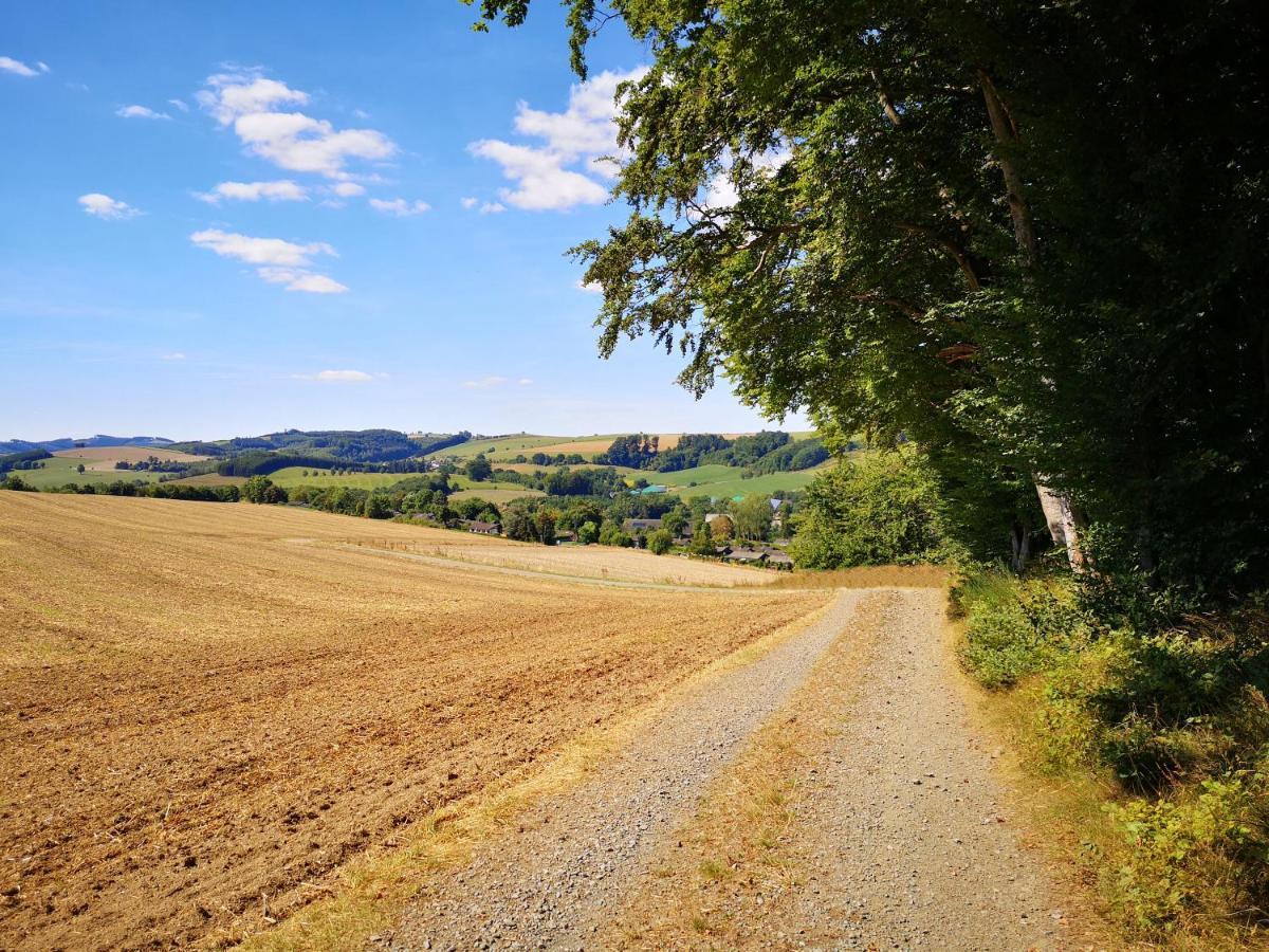 Ferienhaus Lena Im Sauerland Direkt Am Hennesee Meschede Dış mekan fotoğraf